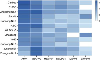 Transmission from seed to seedling and elimination of alfalfa viruses